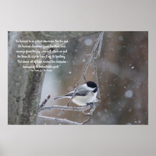 Zwart witkapje in sneeuw - verwisselbare tekst poster (Voorkant)
