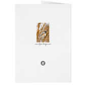 Zwart witkapje - originele foto (Achterkant)