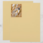 Zwart witkapje - originele foto (Voorkant / Achterkant)