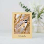 Zwart witkapje - originele foto briefkaart (Staand voorkant)