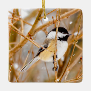 Zwart witkapje - originele foto keramisch ornament