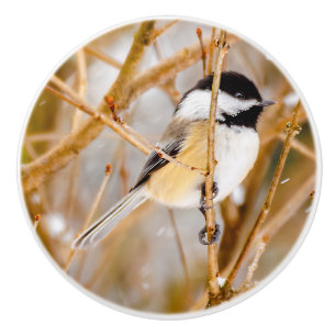 Zwart witkapje - originele foto keramische knop