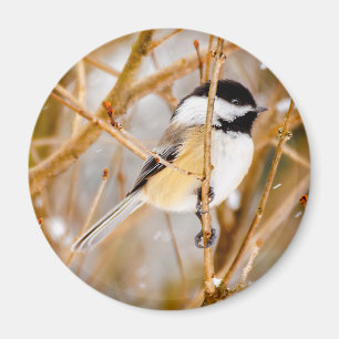 Zwart witkapje - originele foto magneet