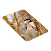 Zwart witkapje - originele foto magneet (Rechterzijde)