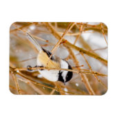 Zwart witkapje - originele foto magneet (Horizontaal)