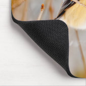 Zwart witkapje - originele foto muismat (Hoek)