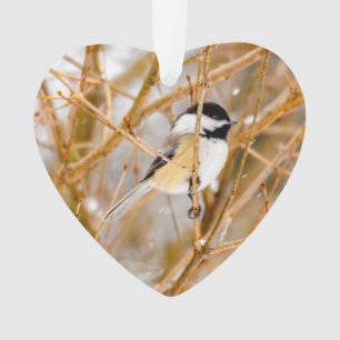 Zwart witkapje - originele foto ornament