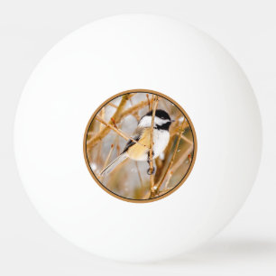 Zwart witkapje - originele foto pingpongbal