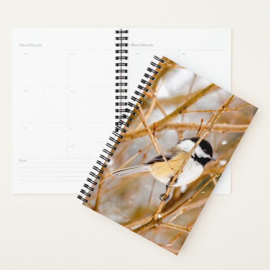 Zwart witkapje - originele foto planner (Display)