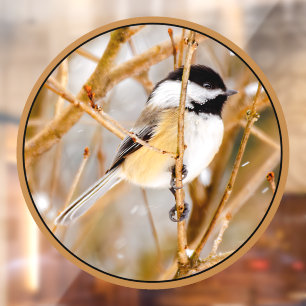 Zwart witkapje - originele foto raamsticker