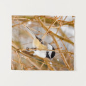 Zwart witkapje - originele foto wandkleed (Voorkant (horizontaal))
