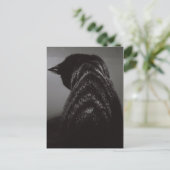Zwart-witkat Briefkaart (Staand voorkant)