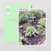 Zwart-witkat Briefkaart (Voorkant / Achterkant)