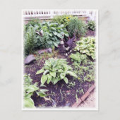 Zwart-witkat Briefkaart (Voorkant)