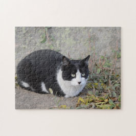 Zwart-witkat Jigzaag Puzzle Legpuzzel