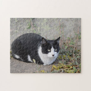 Zwart-witkat Jigzaag Puzzle Legpuzzel