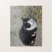 Zwart-witkat Jigzaag Puzzle Legpuzzel (Verticaal)