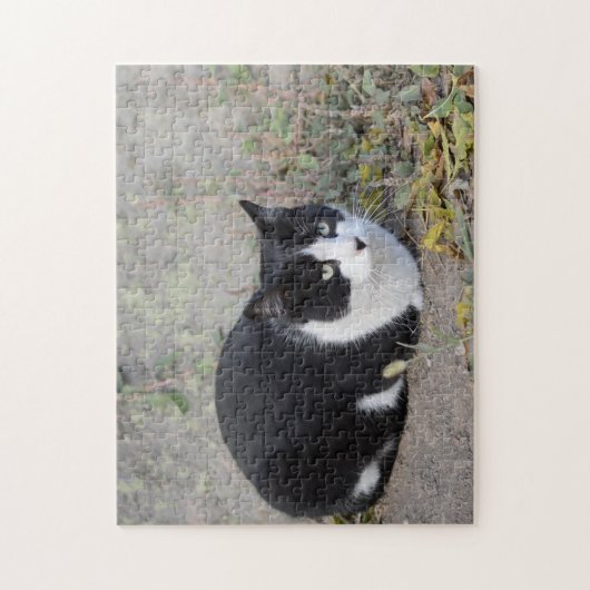 Zwart-witkat Jigzaag Puzzle Legpuzzel (Verticaal)