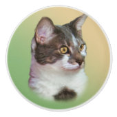 Zwart-witkat,  keramische knop (Voorkant)