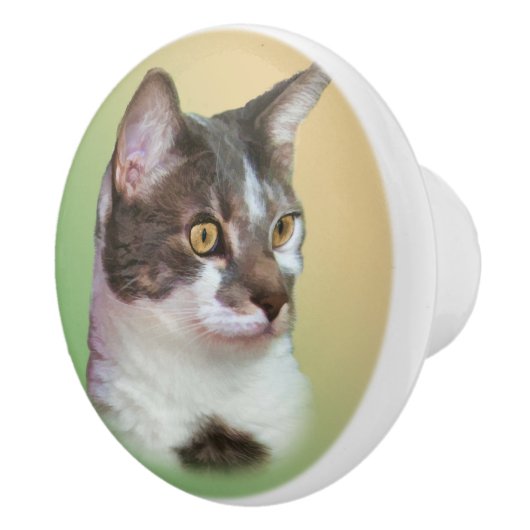 Zwart-witkat,  keramische knop (Rechts)