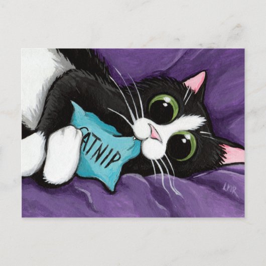 Zwart-witkat met Catnip Pillow - Kat art Briefkaart (Voorkant)