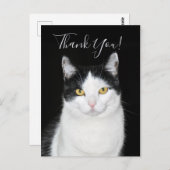 Zwart-witkat-portret Briefkaart (Voorkant / Achterkant)