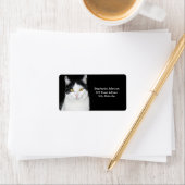 Zwart-witkat-portret Etiket (Insitu)