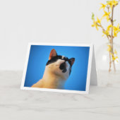 Zwart-witkat-portret Kaart (Gele Bloem)