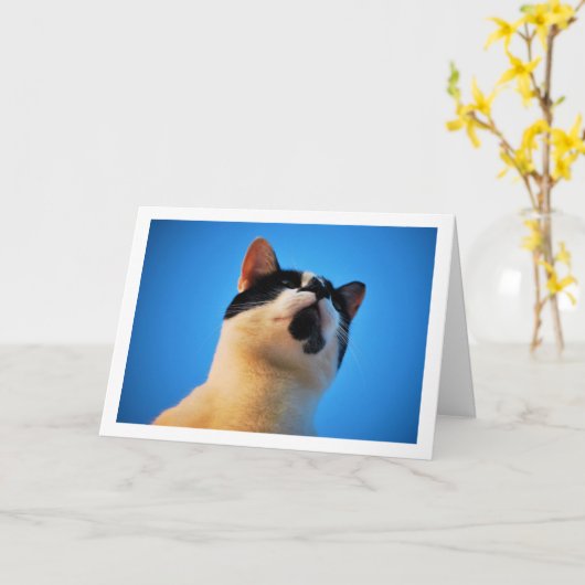 Zwart-witkat-portret Kaart (Gele Bloem)