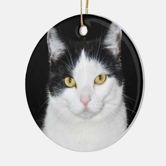 Zwart-witkat-portret Keramisch Ornament (Links)