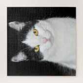 Zwart-witkat-portret Legpuzzel (Verticaal)