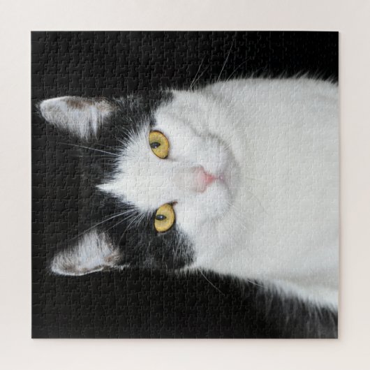 Zwart-witkat-portret Legpuzzel (Verticaal)