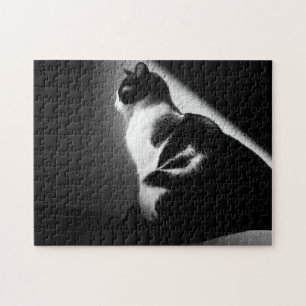 Zwart-witkat-portret Legpuzzel