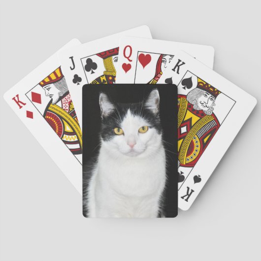 Zwart-witkat-portret Pokerkaarten (Achterkant)