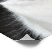 Zwart-witkat-portret Poster (Hoek)