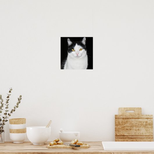 Zwart-witkat-portret Poster (Keuken)
