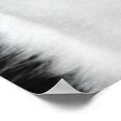 Zwart-witkat-portret Poster (Hoek)