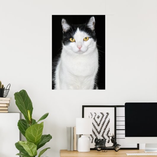 Zwart-witkat-portret Poster (Thuiskantoor)