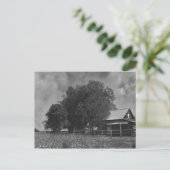 Zwart-witkatoenveld Briefkaart (Staand voorkant)