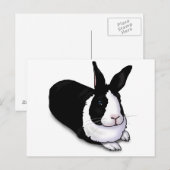 Zwart-witkonijn Briefkaart (Voorkant / Achterkant)