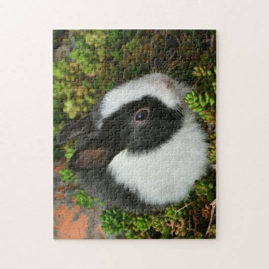 Zwart-witkonijn Legpuzzel (Verticaal)