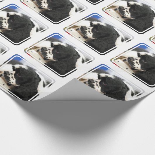 Zwart-witkookspaniel Cadeaupapier (Hoek)