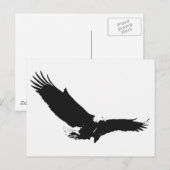 Zwart-witlandingadelaar Briefkaart (Voorkant / Achterkant)