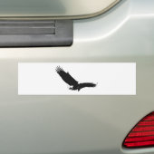 Zwart-witlandingadelaar Bumpersticker (Op auto)