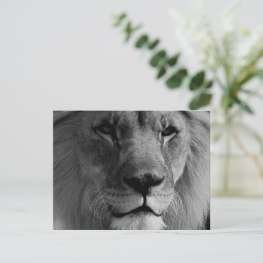 Zwart-witleeuw Briefkaart (Staand voorkant)