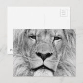 Zwart-witleeuw Briefkaart (Voorkant / Achterkant)