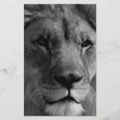 Zwart-witleeuw Briefpapier (Voorkant)