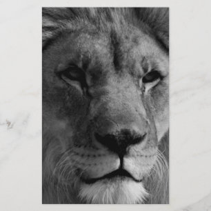 Zwart-witleeuw Briefpapier