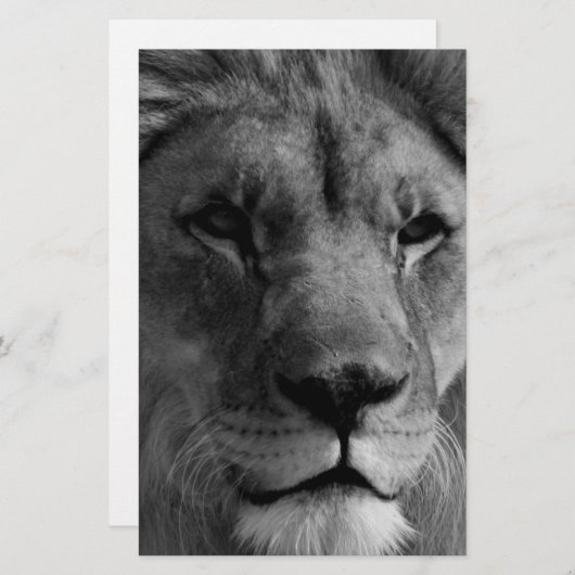 Zwart-witleeuw Briefpapier (Voorkant / Achterkant)