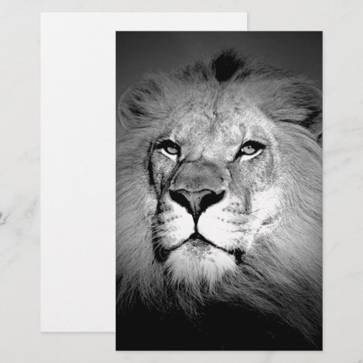 Zwart-witleeuw Briefpapier (Voorkant / Achterkant)